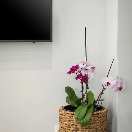 Appartement Citrine Luxury *